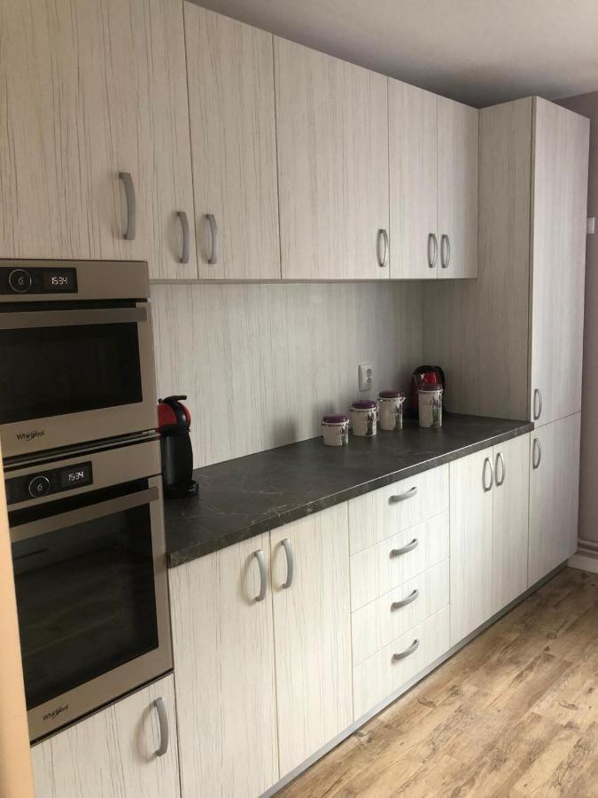 Sighisoara Apartment المظهر الخارجي الصورة